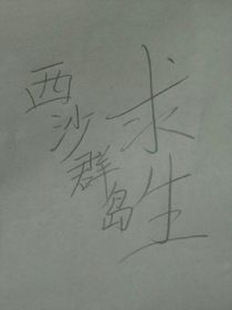 西沙群岛求生