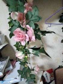 关于爸爸妈妈的歌曲