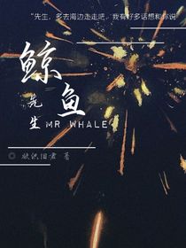 鲸鱼先生