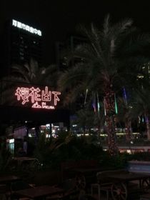 穿书后我竟成恶毒女配