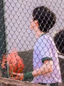 all霖之穿越all軒變成惡毒男配