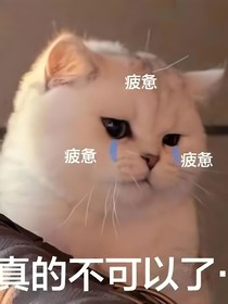 想取的名字都沒了