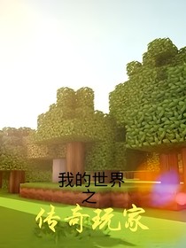 我的世界之傳奇玩家