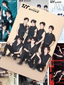 TF家族：伪装界限