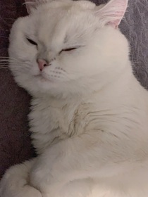 神冥今夜降临
