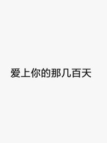 愛(ài)上你的那幾百天