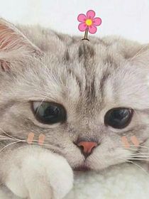午夜追兇