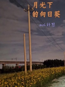 月光下的向日葵