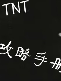 TNT：攻略手册……