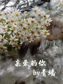 青墻