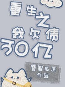 重生之我欠债30亿