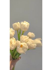 我把喜欢写进风里