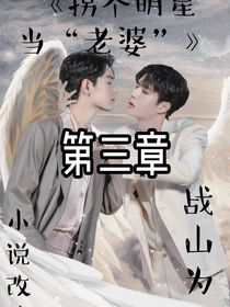 娶个明星做老婆，第三集