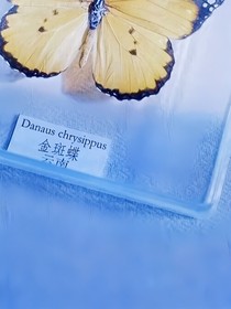沿途是星