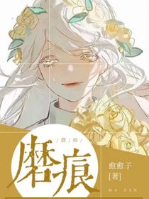 磨痕-d568