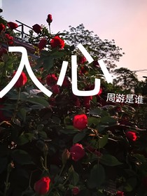 难入你心