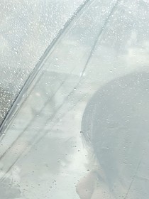 或许还有机会