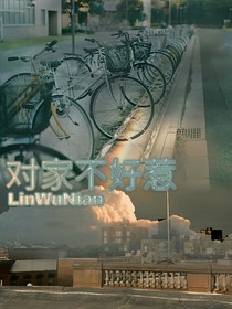 对家不好惹-d339