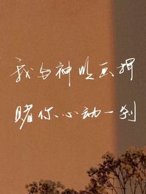 盛夏月似屿