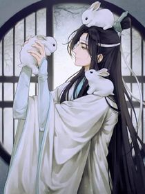 夷陵老祖的清凉夫人