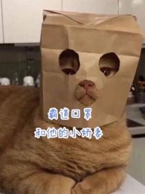 霸道口罩和他的小嬌妻