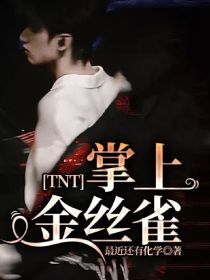 TNT：掌上金丝雀