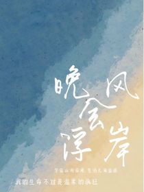 晚风会浮岸