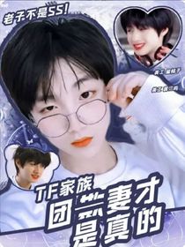 TF三代：团欺（妻）才是真的