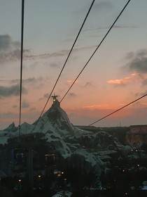 夕陽下的它和她