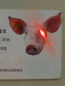 意想不到？