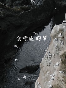 会呼吸的梦