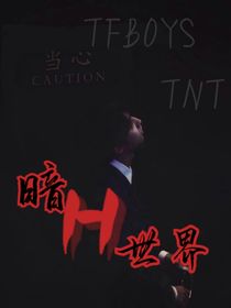 TFBOYS，TNT：暗H世界
