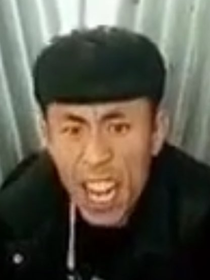 老八简历
