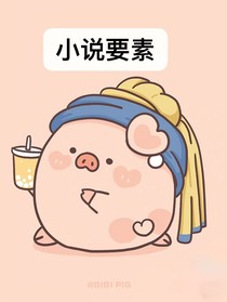 小说要素及语录