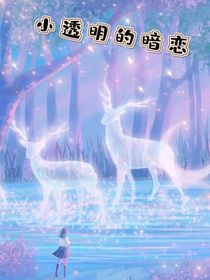 小透明的暗戀