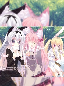 龟龟日记