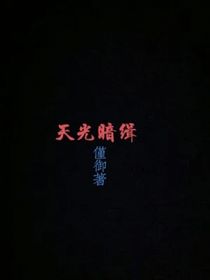 天光暗缉