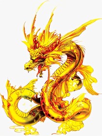我的老师是条龙