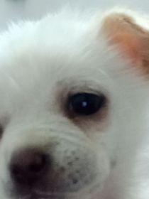 时代之战系统爸爸