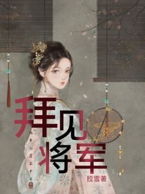 拜见将军