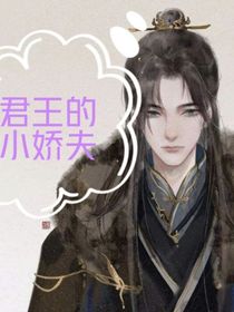 君王的小娇夫