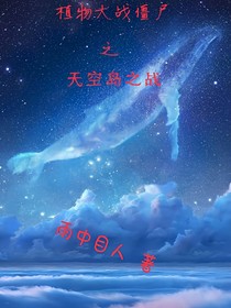 天空島之戰(zhàn)