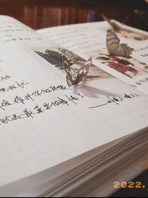 storybox
