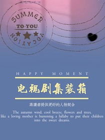 電視劇集裝箱