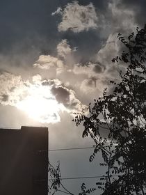 曾是我的光