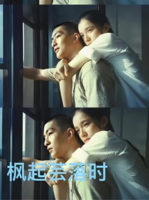 枫起芸落时
