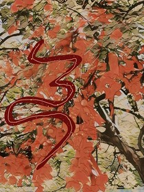 緣祈緣滅