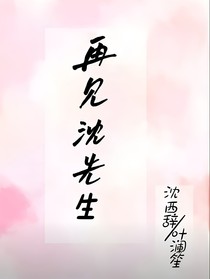 再见沈先生