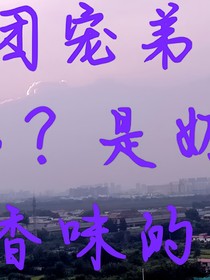 TNT：團寵弟弟？是奶香味的