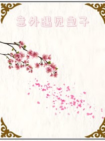 意外遇见皇子